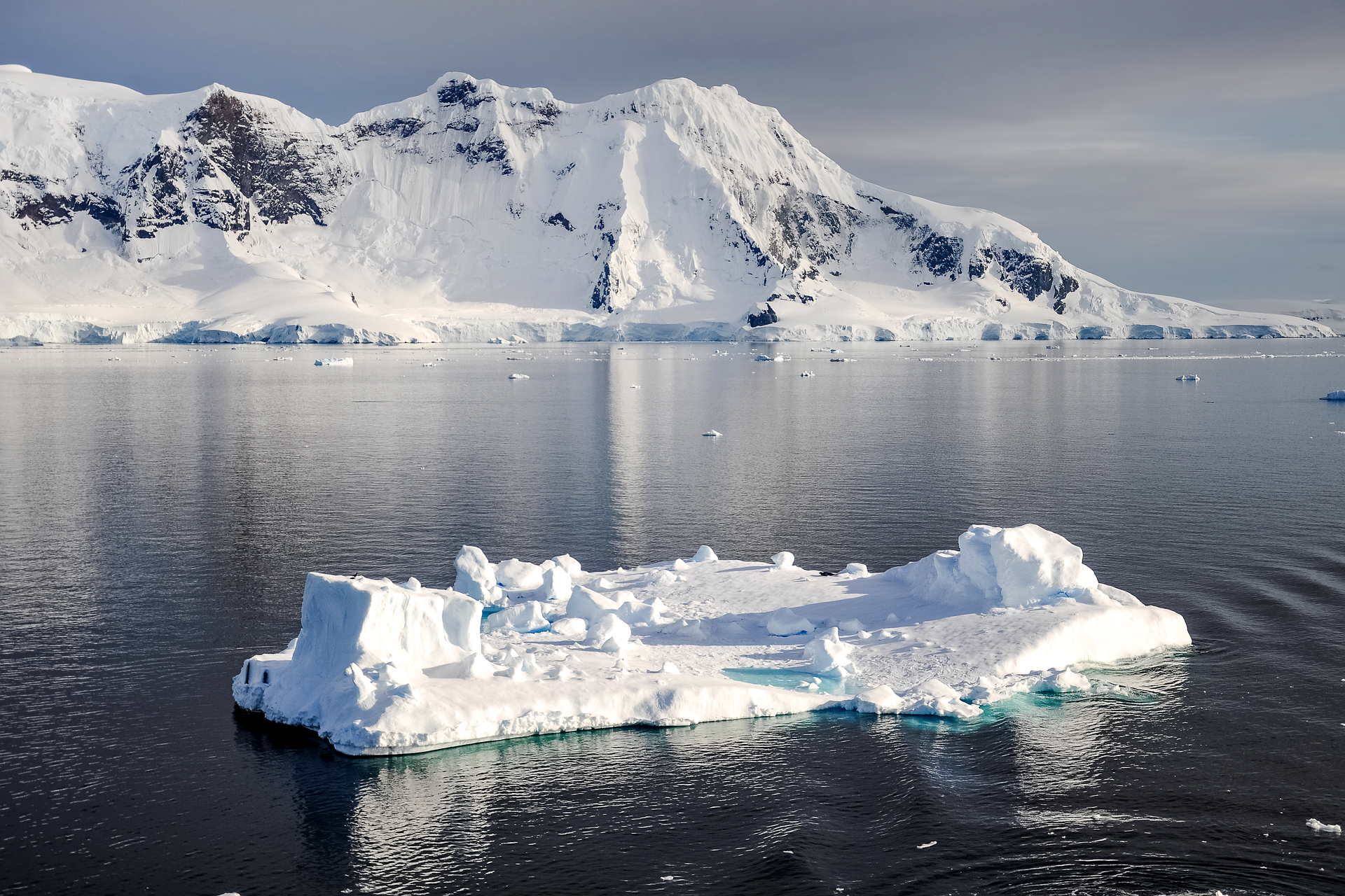 Crying poor no solution to Antarctic stoush