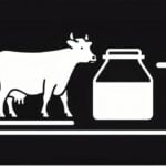 Don’t cry over split cheap milk